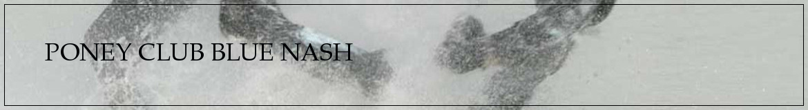 PONEY CLUB BLUE NASH